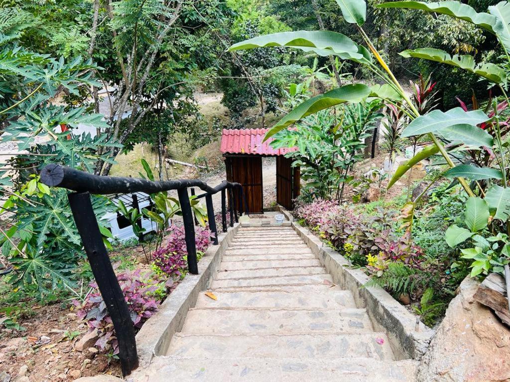 Minca Cabana La Roca Santa Marta  Exterior foto